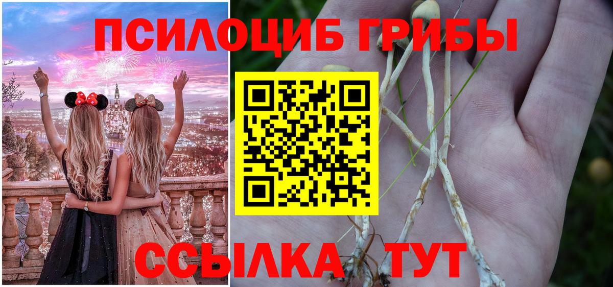 Выборг  как найти закладки  Вход с VPN  Галлюциногенные грибы ЛСД 